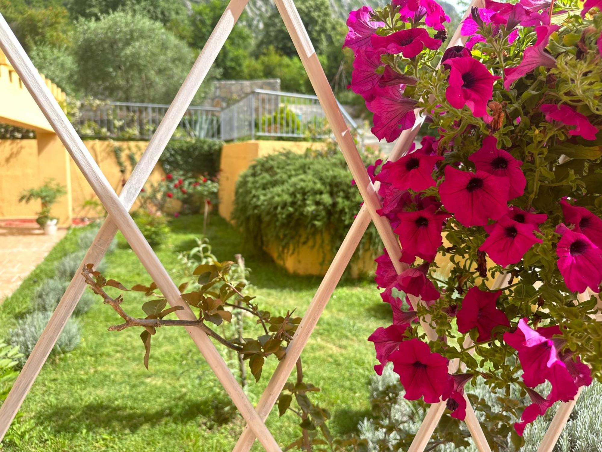 Villa Risan Apartments Zewnętrze zdjęcie