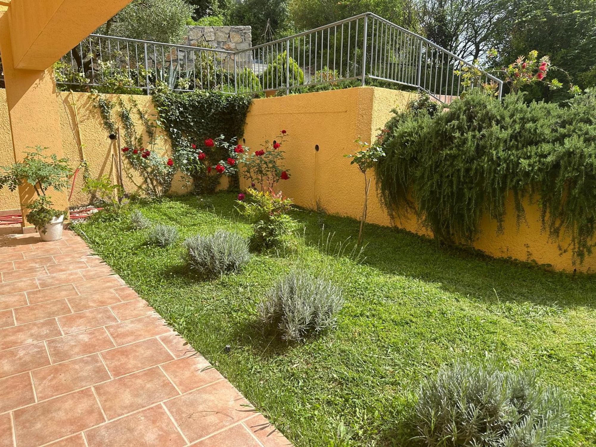 Villa Risan Apartments Zewnętrze zdjęcie